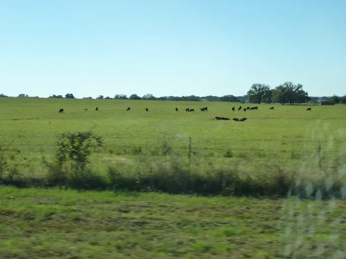 Horseshoe Bay Vet Clinic 2