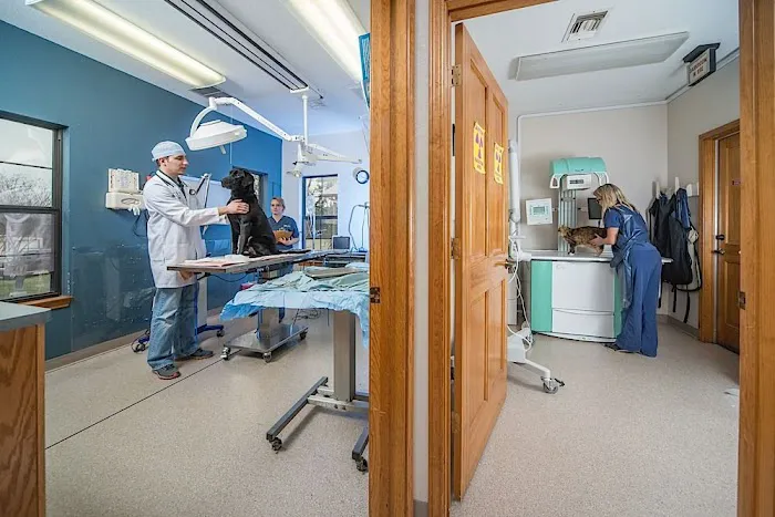 Hope Animal Clinic 8