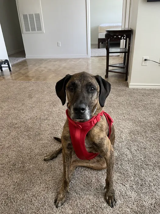 San Marcos Veterinary Clinic 9