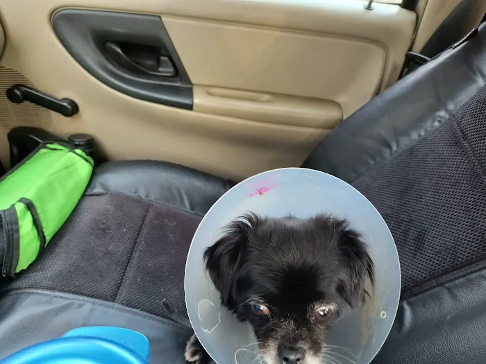 San Marcos Veterinary Clinic 1