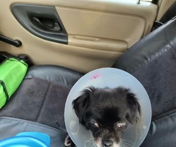 San Marcos Veterinary Clinic
