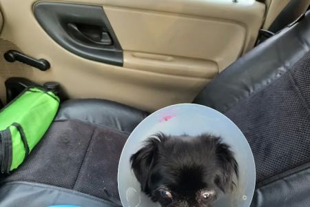 San Marcos Veterinary Clinic