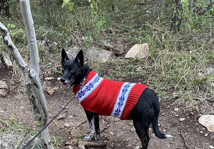 San Marcos Veterinary Clinic 10