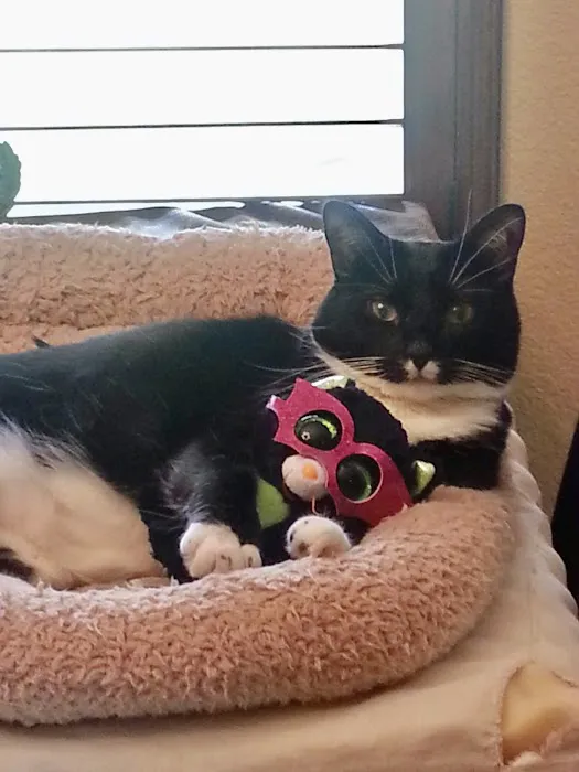 San Marcos Veterinary Clinic 7