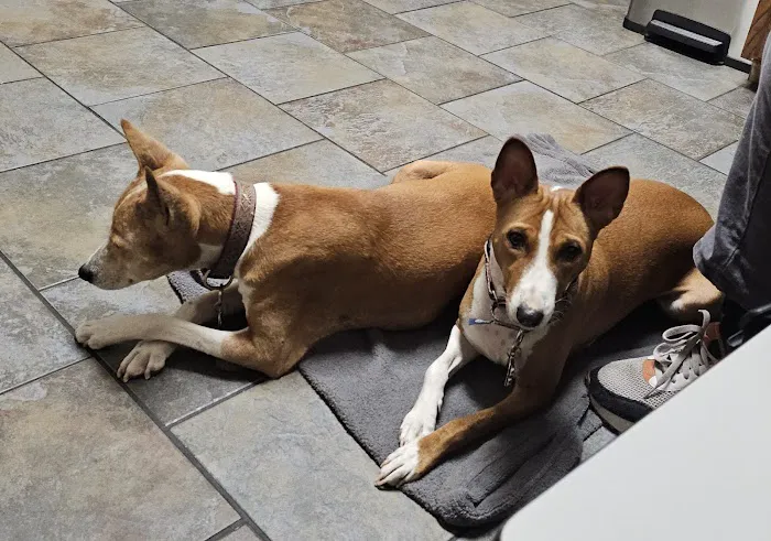 Kyle Animal Hospital 12