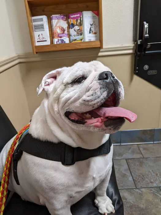 Kyle Animal Hospital 12