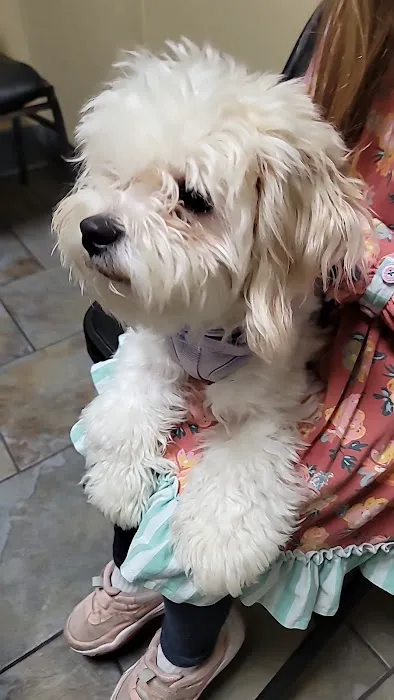 Kyle Animal Hospital 12