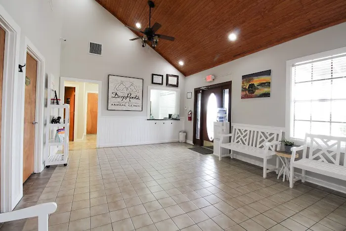 Deep Roots Animal Clinic 8