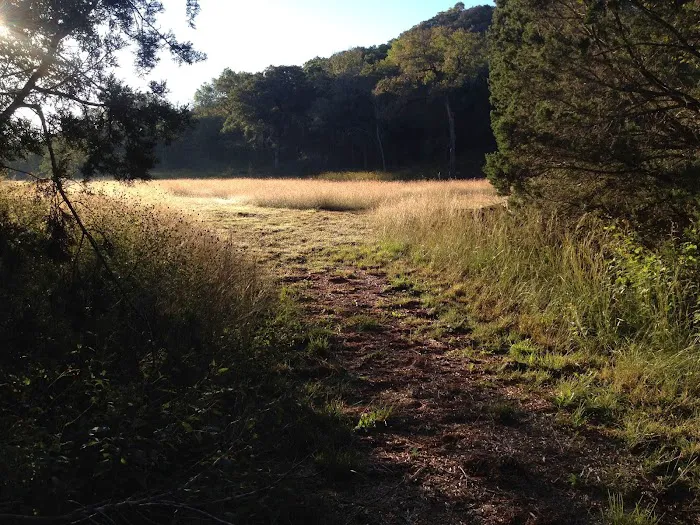 Vital Animal The Natural Path 3