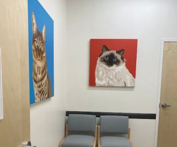 UrgentVet