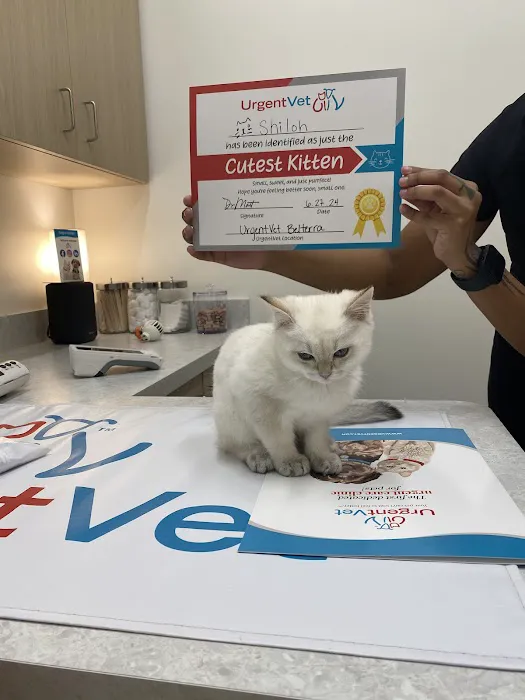 UrgentVet 6