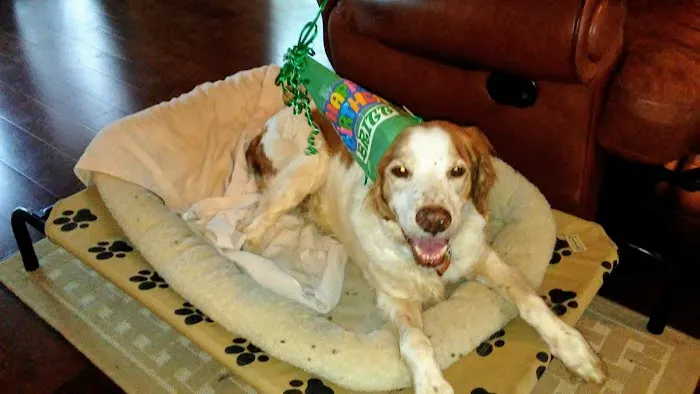 Banfield Pet Hospital 5