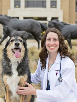 Springtown Veterinary Hospital 1