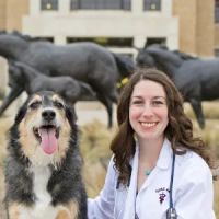 Springtown Veterinary Hospital ico