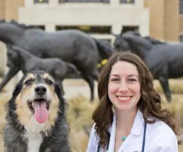 Springtown Veterinary Hospital