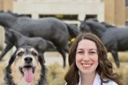 Springtown Veterinary Hospital