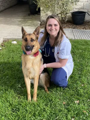Springtown Veterinary Hospital 7