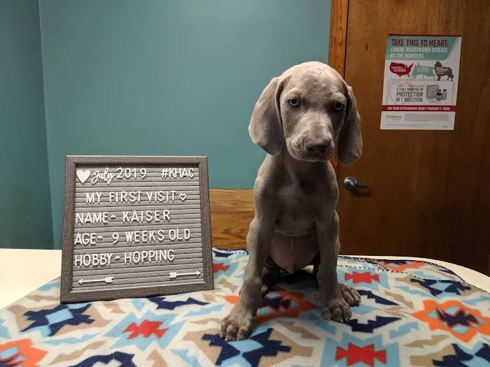 Kings Highway Animal Clinic 12