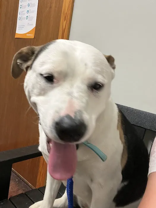 Kings Highway Animal Clinic 12