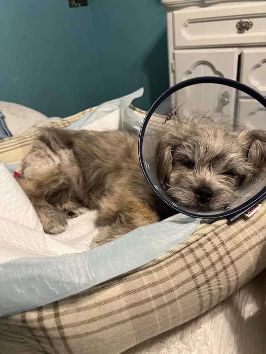 Tickle-Blagg Animal Hospital 7