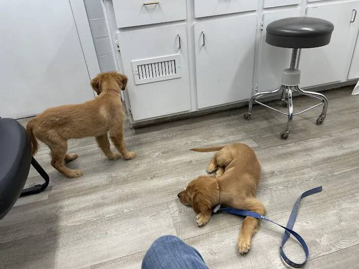 Tickle-Blagg Animal Hospital 10