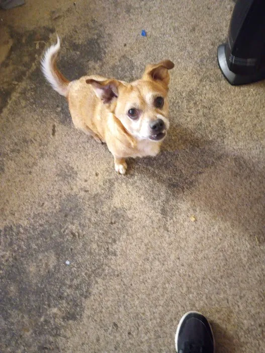 Galax Veterinary Clinic 3