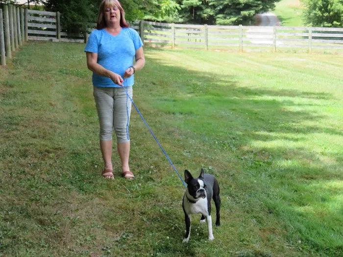 Healing Springs Animal Hospital 9