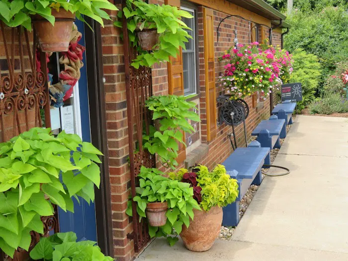 Healing Springs Animal Hospital 2