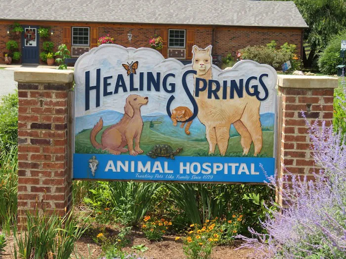 Healing Springs Animal Hospital 10