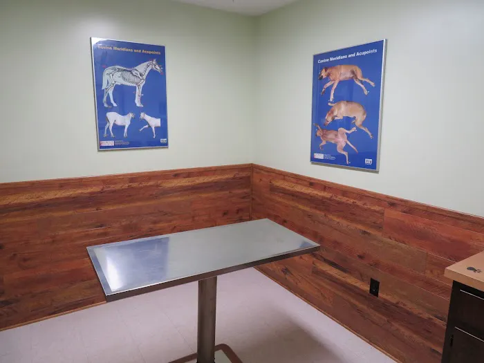 Healing Springs Animal Hospital 3