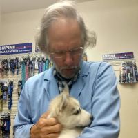 Emerald Moon Veterinary Clinic ico