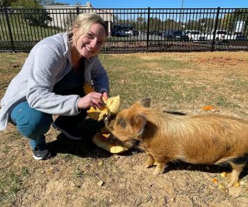 Wythe Animal Wellness Community Veterinary Care, Inc.