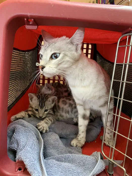Animal Clinic of Madison 12
