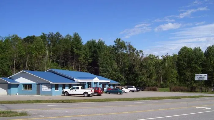 Boyce-Holland Veterinary Services 9