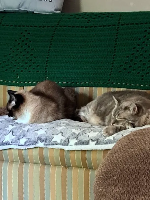 King's Mountain Animal Clinic 12