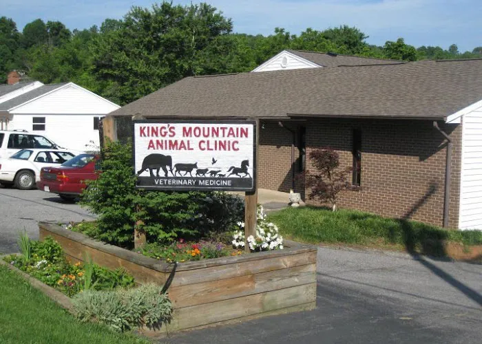King's Mountain Animal Clinic 12