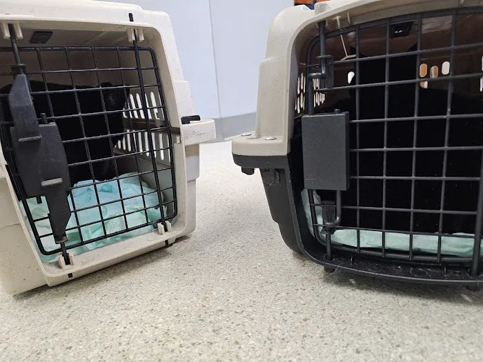 Blue Ridge Veterinary Hospital 4