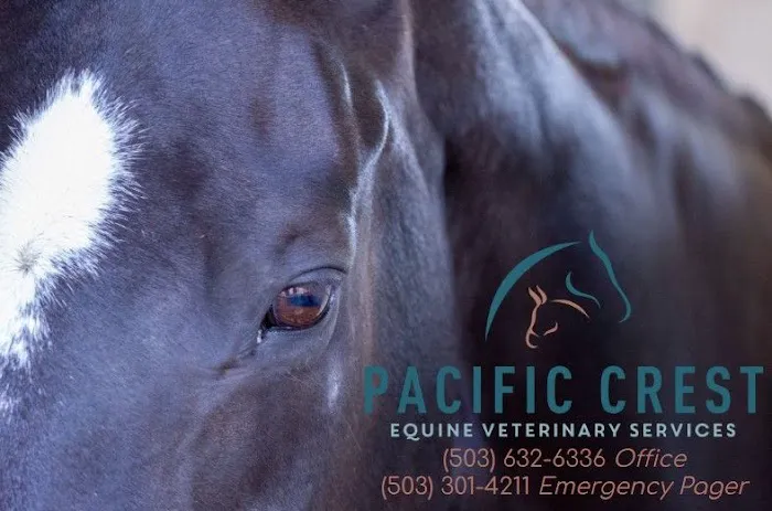 Pacific Crest Equine Veterinary Services 3