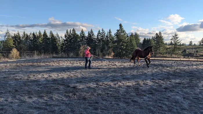Pacific Crest Equine Veterinary Services 1