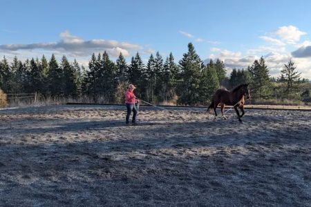 Pacific Crest Equine Veterinary Services