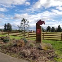 Northwest Equine Performance ico