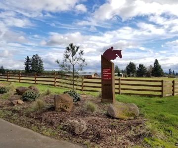 Northwest Equine Performance