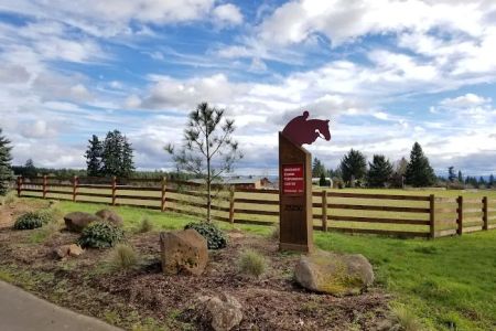 Northwest Equine Performance