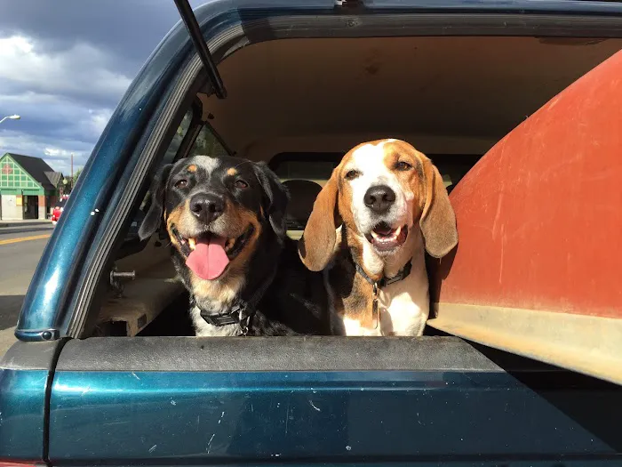 Sequoia Veterinary Clinic 12