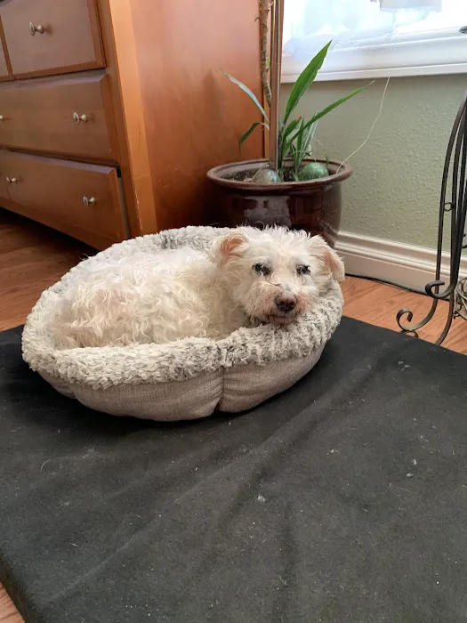 Sequoia Veterinary Clinic 12