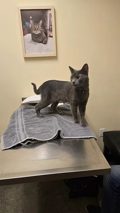Sequoia Veterinary Clinic 12