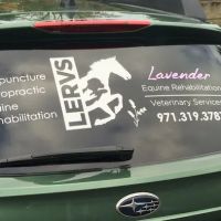 Lavender Equine Rehabilitation & Veterinary Services, LLC ico