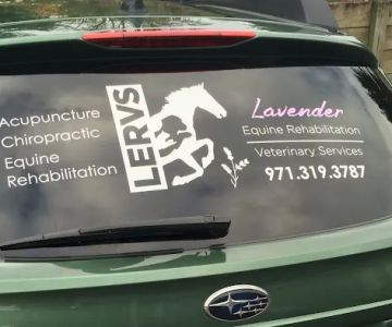 Lavender Equine Rehabilitation & Veterinary Services, LLC