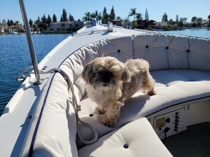Animal Urgent Care of South Orange County 12