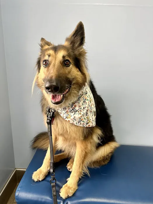 Oso Pet Care Center 12